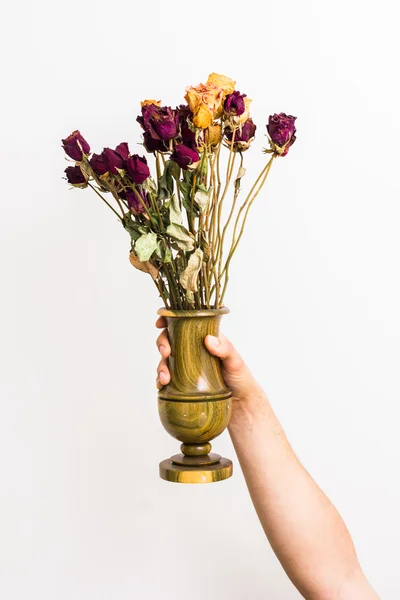 Braço e mão segurando vaso de rosas mortas — Fotografia de Stock