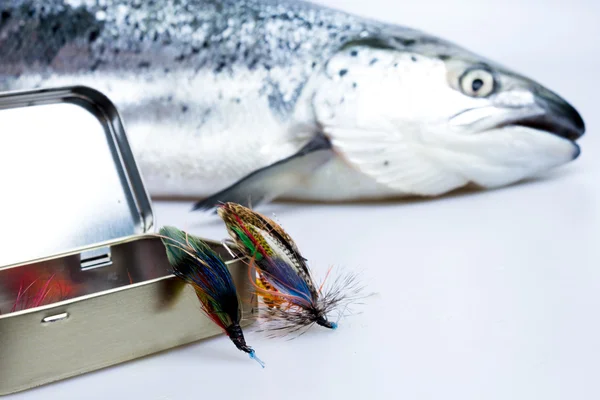 Box of flies with caught salmon in background — Stock Photo, Image