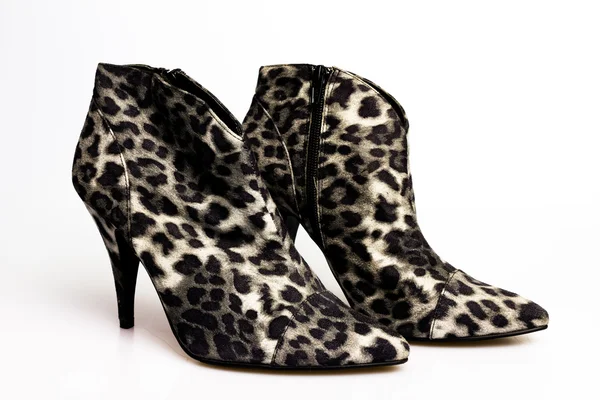 Zapatos de mujer estampado de leopardo oscuro —  Fotos de Stock