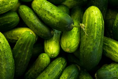 taze yeşil kabak