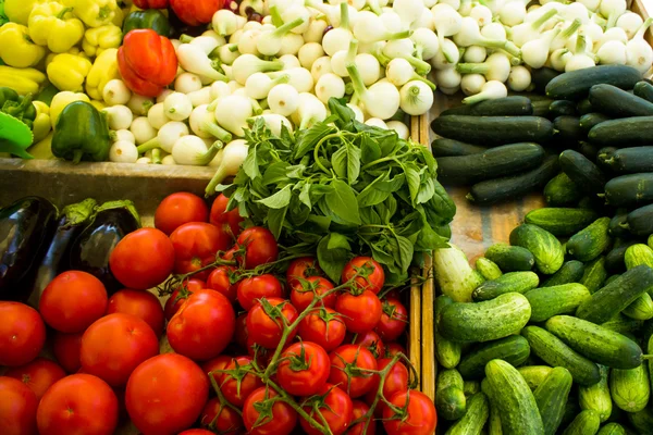 Різні овочі в коробках на ринку — стокове фото