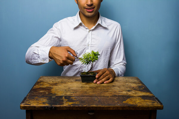 Happy man pruning his bonsai tree