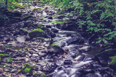 Woodland akış su
