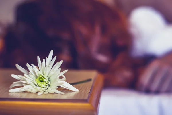 Frau schläft im Hotelzimmer mit Blume neben dem Gesicht — Stockfoto