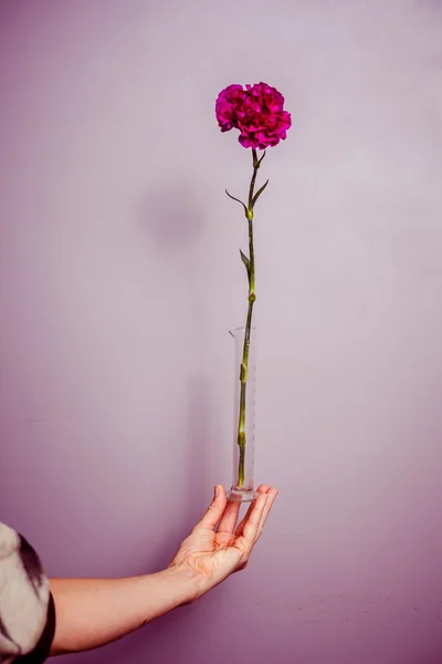 Jovem segurando uma única flor roxa — Fotografia de Stock