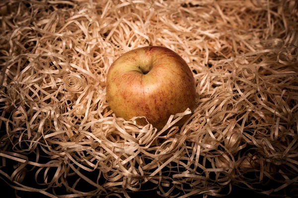 Pomme simple sur copeaux de bois — Photo