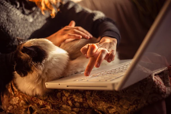 Vrouw die op laptop met haar kat Birmaan werkt — Stockfoto