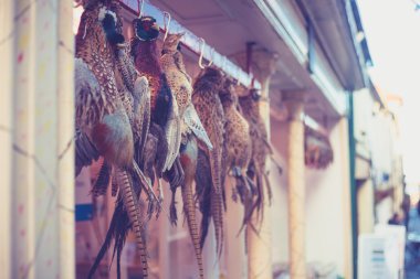 Pheasants hanging outside butcher's shop clipart