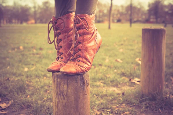 Standing on a post — Stock Photo, Image