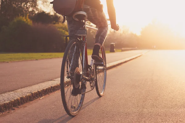 Ung kvinna cykling i parken vid solnedgången Stockbild