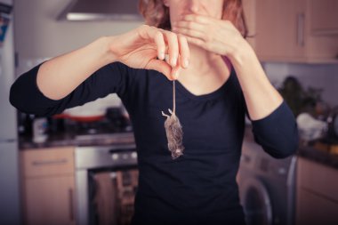 Woman with dead mouse in kitchen clipart