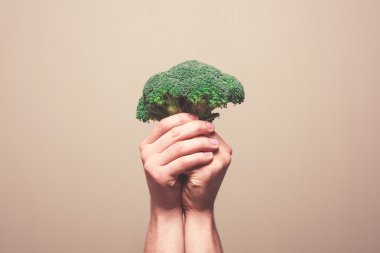 handen met broccoli