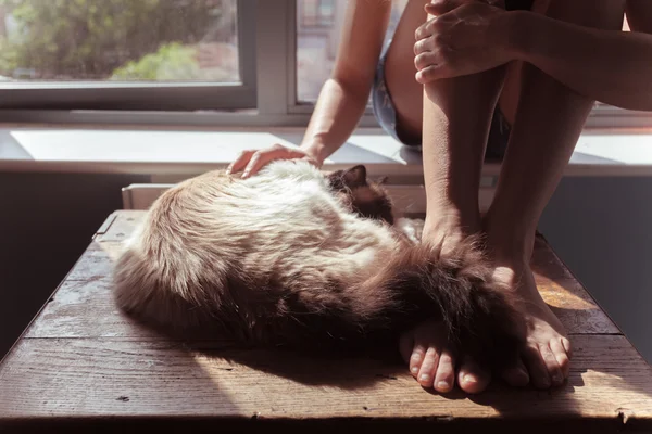 Femme et chat près de la fenêtre — Photo