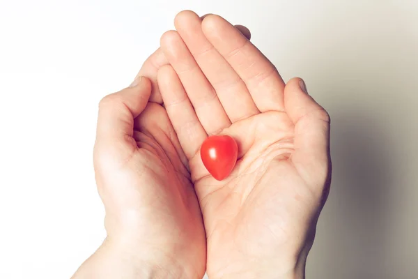 Hands holding heart shaped tomato — Stock Photo, Image