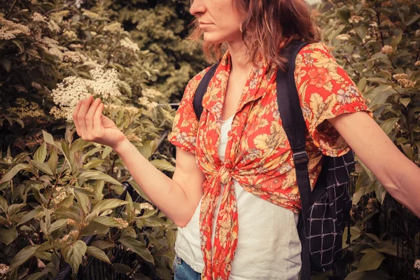 Mujer joven recogiendo flores de saúco — Foto de Stock