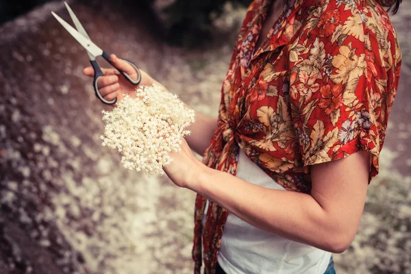 Young woman with elderflowers and scissors — Stock Photo, Image