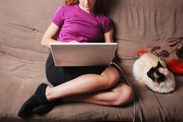 Mujer joven usando computadora portátil con gato al lado de ella —  Fotos de Stock