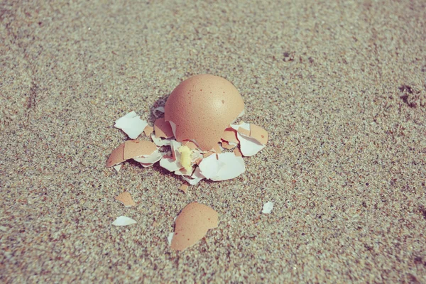 Egg shells on the beach — Stock Photo, Image