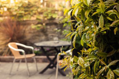 Bahçedeki sandalyeler ve masalar