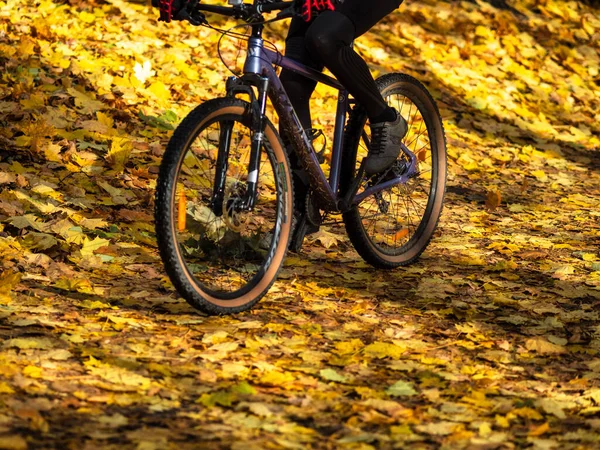 Herbst Auf Dem Fahrrad — Stockfoto