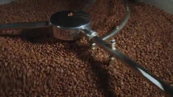4k, Mistura de café torrado — Vídeo de Stock