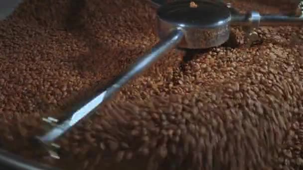 4k, mieszanie kawy palonej — Wideo stockowe