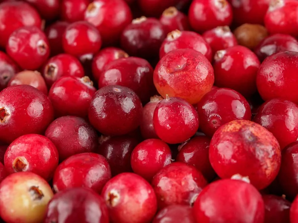 Berries All Types Cranberries Edible Actively Used Cooking Food Industry — Stock Photo, Image