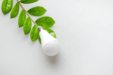 Ekonomik ve çevre dostu elektrik ampulü, ev, ev