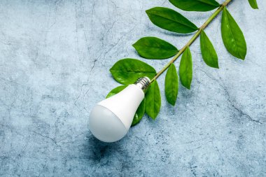 Modern elektrik ampulü, LED, minimum enerji tüketimi, yeşil bir dal parçasının arka planında ampullerin geri dönüşümü.