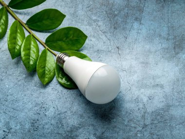 LED ışıklandırma, LEDlerin ışık kaynağı olarak kullanılmasına dayalı yapay ışıklandırma teknolojilerinin umut verici alanlarından biridir.