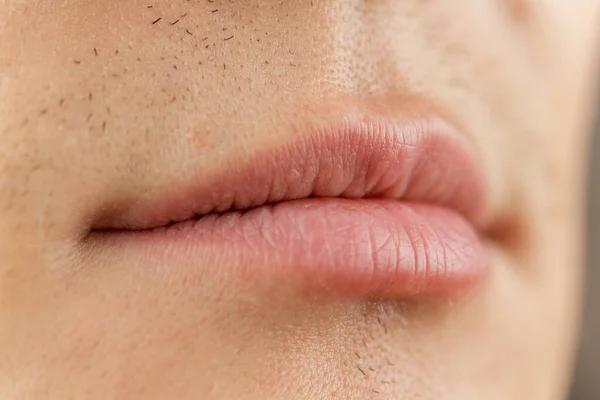 the structure of human lips, close-up, morphology and anatomy, mucous red border, selective focus