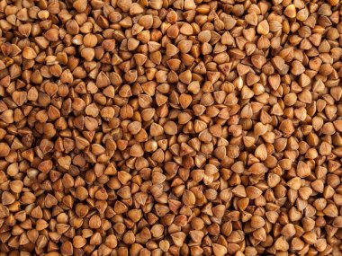 Karabuğday çekirdeği tam bölünmemiş tanelerden yapılır, tahıl ve meze yapımında kullanılır, kızarmış karabuğday, kahverengi bir tonu, katı bir arka planı, yakın plan