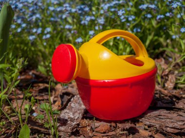 Sulama bitkileri için küçük, parlak bir plastik sulama kutusu yaz aylarında sulu çimenlerin arka planında bir çocuk oyuncağı.