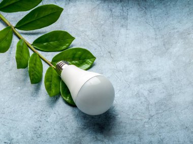 Yapraklı yeşil filizli enerji tasarruflu LED lamba, yeşil enerji ve enerji kavramı, çevre bakımı