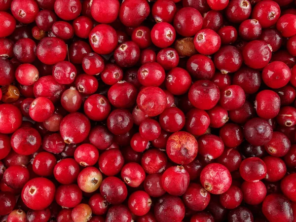 Cranberry Berries Used Preparation Fruit Drinks Juices Kvass Extracts Jelly — Stock Photo, Image