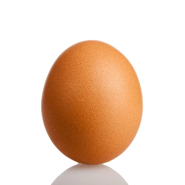 Куриное Яйцо Большой Изолированный Белом Фоне Крупным Планом — стоковое фото