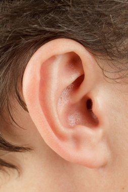 auricle yakın çekim, dış kulak, insan anatomisi işitme cihazı, kulak kanalı, tragus ve antitümör, lob, seçici odaklanma