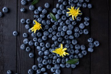 Fresh blueberry background, blueberries with space for text. Vegetarian concept. Berry textures. healthy eating