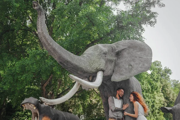 couple with an elephant and a rhino in the park