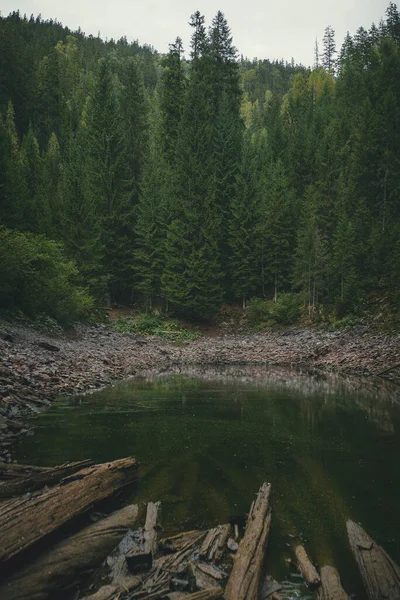 山林中的湖泊，在针叶林中 — 图库照片