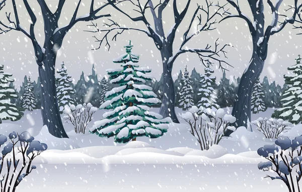 Zimní zasněžené lesní večer krajina. ilustrace s mrazivými jedlemi, lesy, keři ve sněhu a sněhové bouři. realistický obraz zasněžené mýtiny v lesích. divoká příroda venku. hladké pozadí. — Stockový vektor