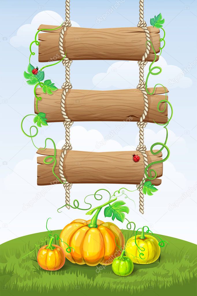 vertical autumn background with hanging wooden signboard, pumpkins, vines, leaves, curly tendrils, ladybugs and text place. fall harvest poster. hello autumn, Thanksgiving, pumpkins festival banner.