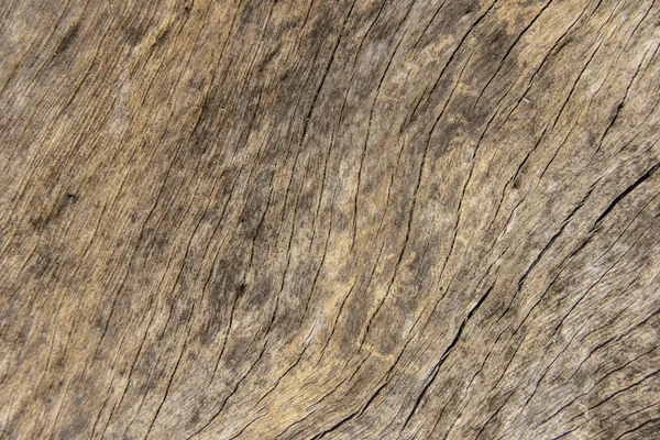 Struttura del legno di corteccia uso come sfondo naturale — Foto Stock