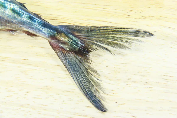 Mackerel on wooden chopping block — Stock Photo, Image