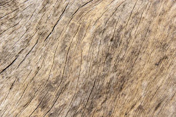 Struttura del legno di corteccia uso come sfondo naturale — Foto Stock