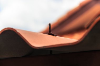 Nut on the roof