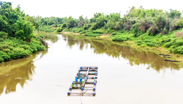 Granja de peces situada en el país tailandés —  Fotos de Stock