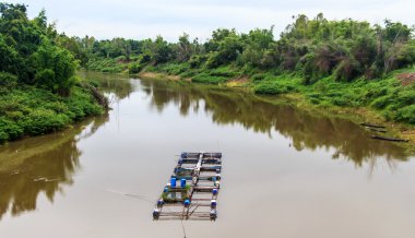 Tayland ülke içinde bulunan balık çiftliği