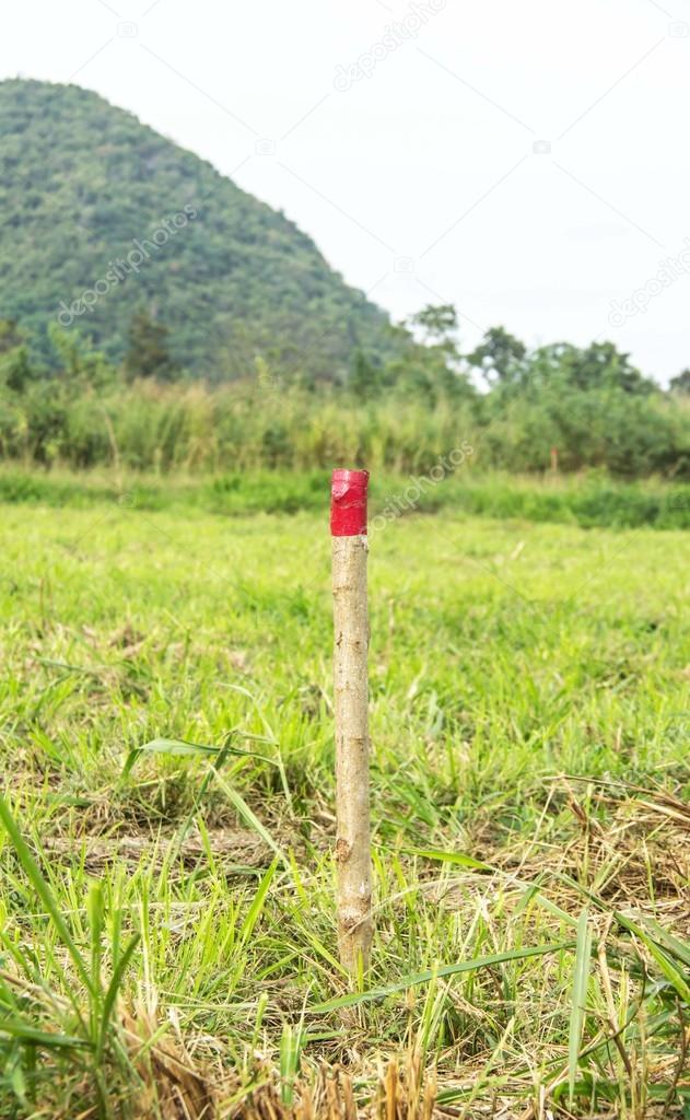 red colored wooden pole for the setting out of a Field survey