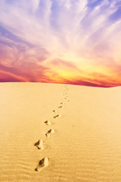 mavi gökyüzünde çöl ve mor ve pembe bulutlar üzerinde ayak izleri.